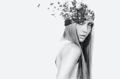 Wide gallery full width