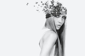 Wide gallery full width