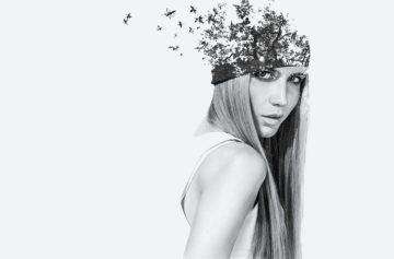 Wide gallery full width