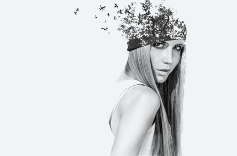 Wide gallery full width