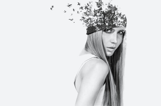 Wide gallery full width