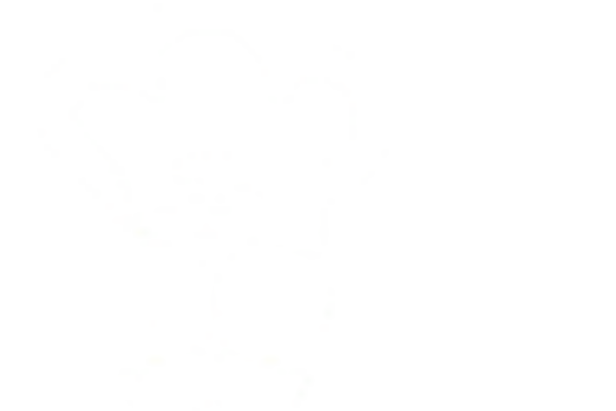 Donec consequat