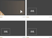Image module